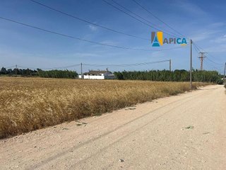 Terreno en venta en Conil en Conil de la Frontera