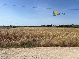 Terreno en venta en Conil en Conil de la Frontera
