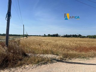 Terreno en venta en Conil en Conil de la Frontera