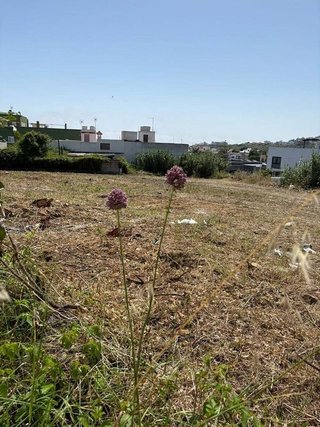 Terreno en venta en Moya