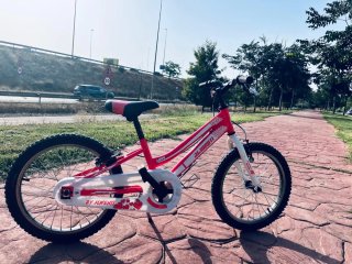 Bicicleta infantil rosa y blanca 18