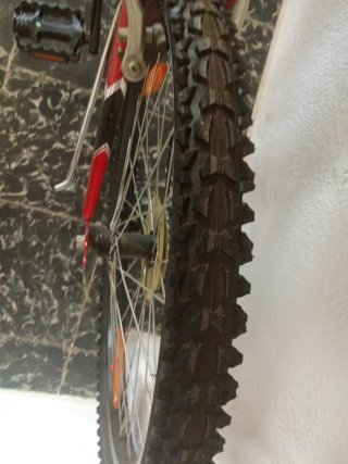 Bicicleta de Montaña Roja