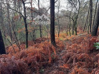 Terreno en venta en Ponteareas