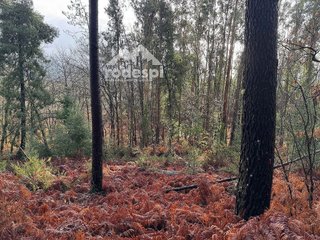 Terreno en venta en Ponteareas