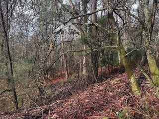 Terreno en venta en Ponteareas