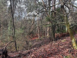 Terreno en venta en Ponteareas
