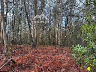 Terreno en venta en Ponteareas