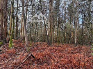Terreno en venta en Ponteareas