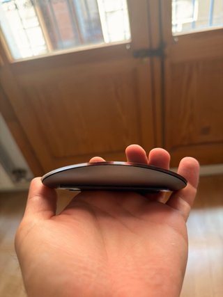 Raton Apple Magic Mouse 2 Negro y Gris