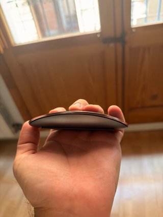 Raton Apple Magic Mouse 2 Negro y Gris