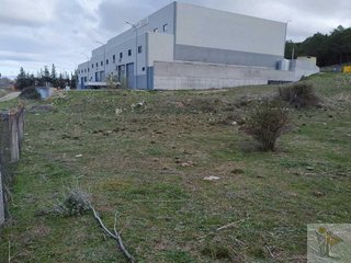 Terreno en venta en Molar (El)
