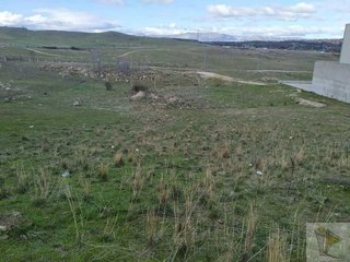 Terreno en venta en Molar (El)