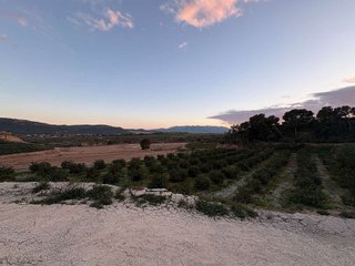 Terreno en venta en Mula
