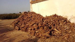 Leña de naranjo para chimenea
