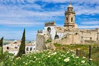 Nave industrial en venta en Medina-Sidonia