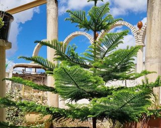 Chalet en venta en Porcuna