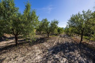 Terreno en venta en Dúrcal