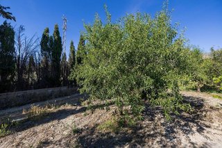 Terreno en venta en Dúrcal