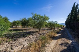 Terreno en venta en Dúrcal