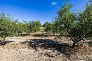 Terreno en venta en Dúrcal