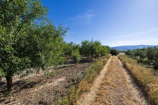 Terreno en venta en Dúrcal