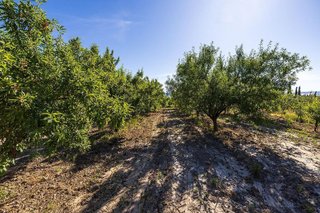 Terreno en venta en Dúrcal