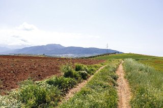 Terreno en venta en Otura