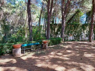 Chalet en venta en San Antonio Abad - Polígono San Antón en Albacete