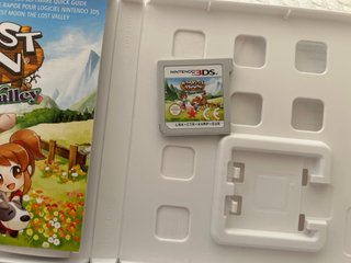 Harvest Moon: El Valle Perdido Nintendo 3DS