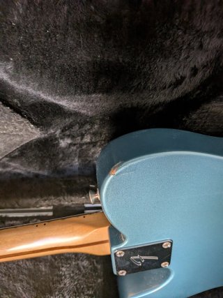 Guitarra Telecaster Player MN Tidepool