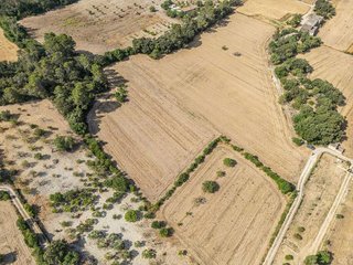 Terreno en venta en Porreres