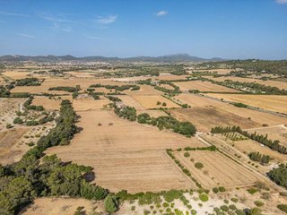 Terreno en venta en Porreres