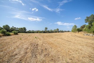 Terreno en venta en Porreres