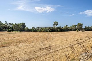 Terreno en venta en Porreres