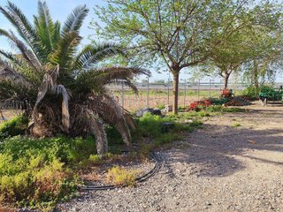 Terreno en venta en Manzanares