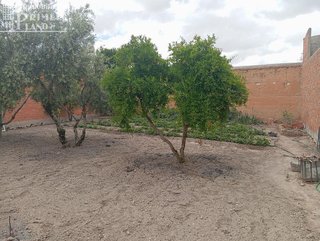 Terreno en venta en Argamasilla de Alba