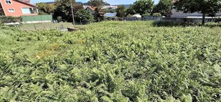 Terreno en venta en Miño
