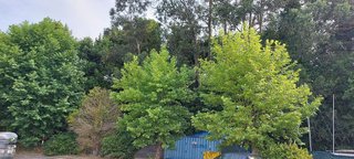 Terreno en venta en Miño