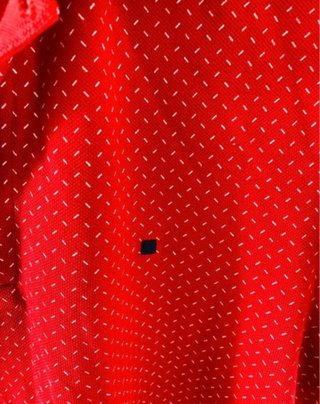 Polo de Purificación García