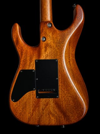Guitarra Tom Anderson