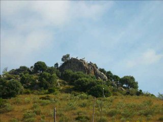 Casa rural en venta en Puebla de Cazalla (La)