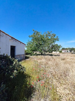 Chalet en venta en San Pablo - Santa Teresa en Albacete
