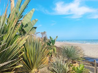 Ático en venta en Elviria en Marbella