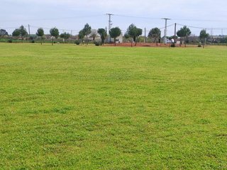 Terreno en venta en La Poblachuela en Ciudad Real