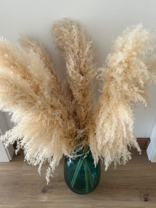 PLUMAS DECORATIVAS