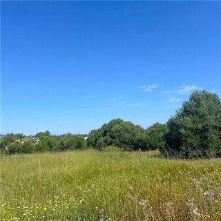 Solar en venta en Manacor Centro en Manacor