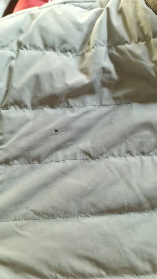 Chaqueta acolchada Zara gris