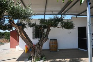 Chalet en venta en Betxí