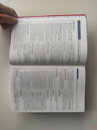 Diccionario Avanzado Primaria Lengua española SM
