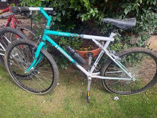 Bicicleta Legnano Perses Montaña